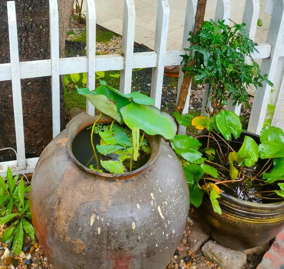 Lotus Corner - Heritage B&B Luang Prabang Bagian luar foto